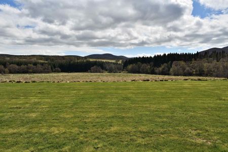 Knocklea-041.jpg