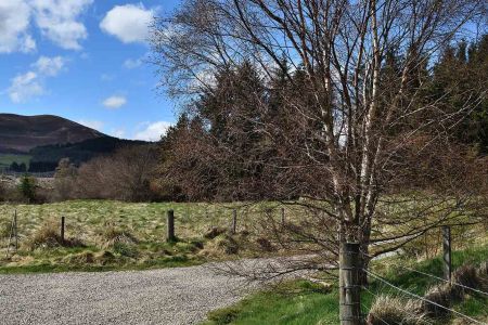 Knocklea-044.jpg